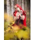 Red Riding Hood Costume
